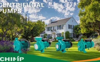 Centrifugal Pump for Home Use: Why Chimp’s CPM and MHF Series Improve Your Water Supply